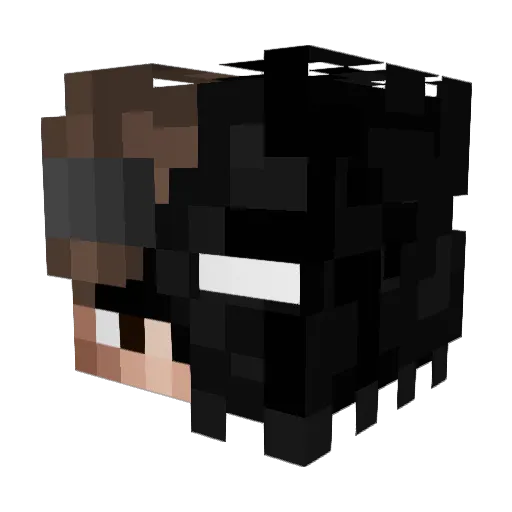 Harry_D123 Minecraft avatar head, 3D render