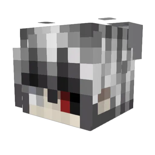Harry_Kujira Minecraft avatar head, 3D render