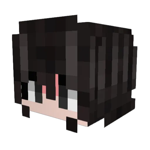 Harry_Son33 Minecraft avatar head, 3D render