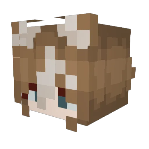 Harry_ZX Minecraft avatar head, 3D render