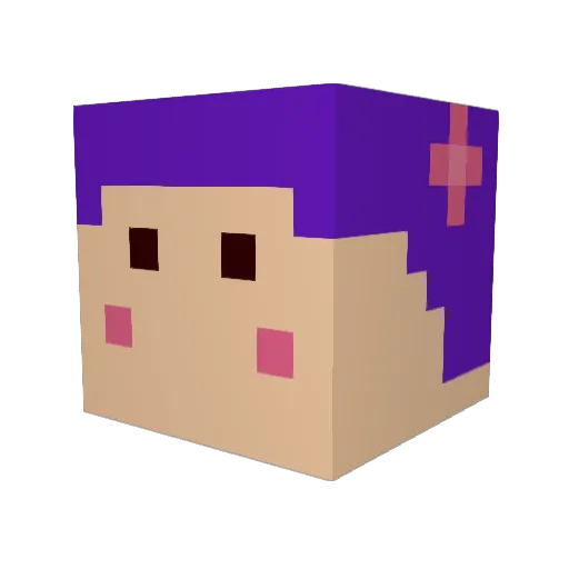 Harry__Fan Minecraft avatar head, 3D render