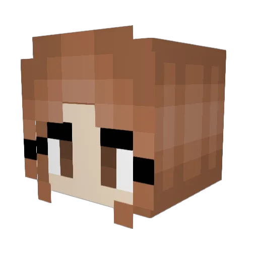 Harrypotterfan09 Minecraft avatar head, 3D render