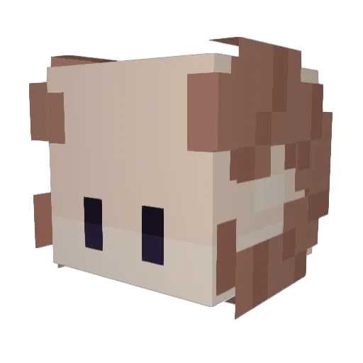 HartmanTransport Minecraft avatar head, 3D render