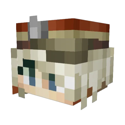 Hartmann172 Minecraft avatar head, 3D render