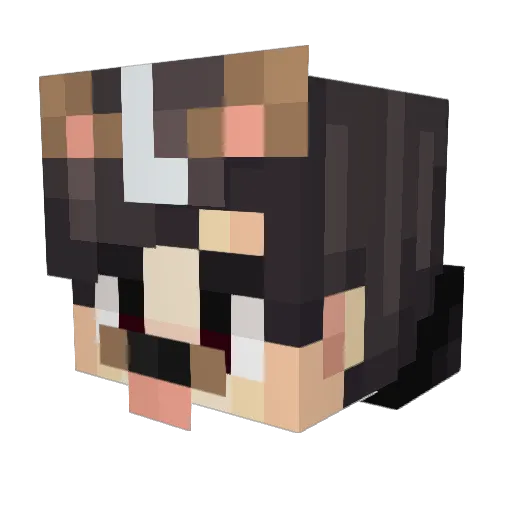 Hartmidt Minecraft avatar head, 3D render