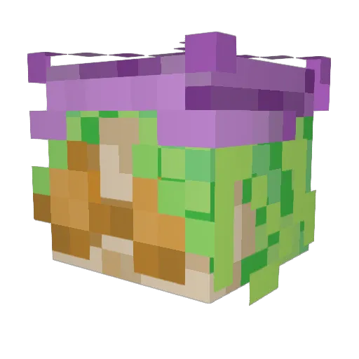 HartofN Minecraft avatar head, 3D render