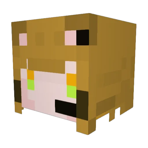 Haru11237 Minecraft avatar head, 3D render
