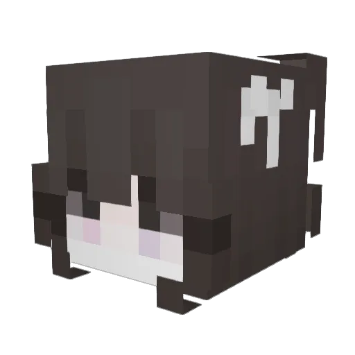 Haru2121 Minecraft avatar head, 3D render