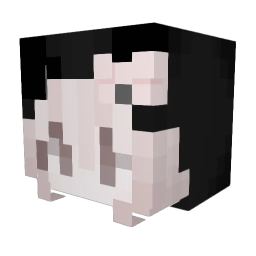 Haru_1Day Minecraft avatar head, 3D render