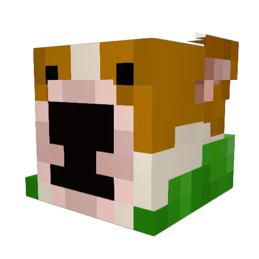HarucitoOLG Minecraft avatar head, 3D render