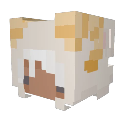 HarunTCG Minecraft avatar head, 3D render