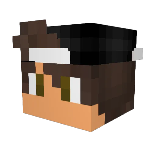HarysFord Minecraft avatar head, 3D render