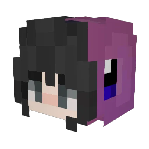 Hasaami Minecraft avatar head, 3D render