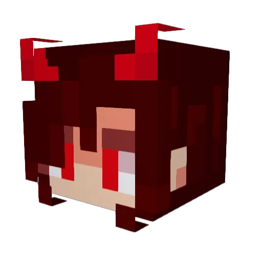 HasanAlp Minecraft avatar head, 3D render