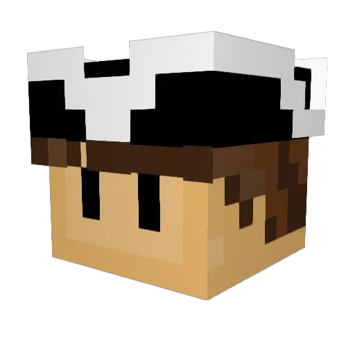 HasanSoot Minecraft avatar head, 3D render