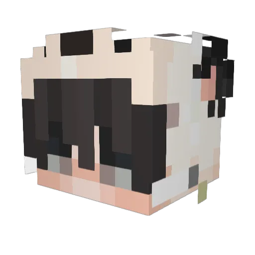 HasanWasLuX Minecraft avatar head, 3D render