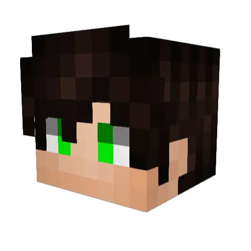 Hasbro2006 Minecraft avatar head, 3D render