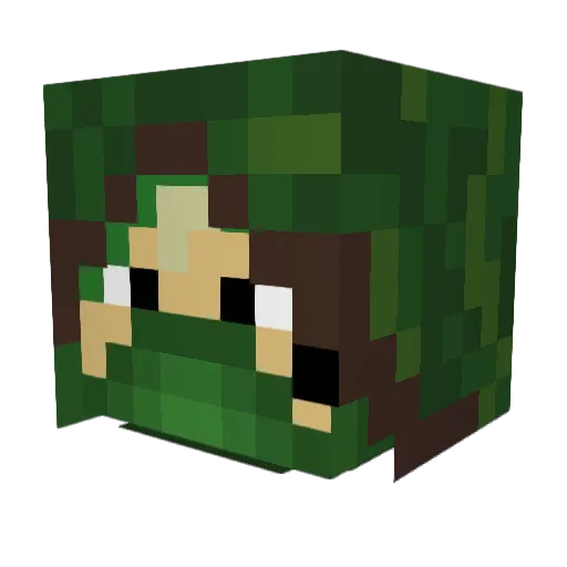 Haschaklo Minecraft avatar head, 3D render