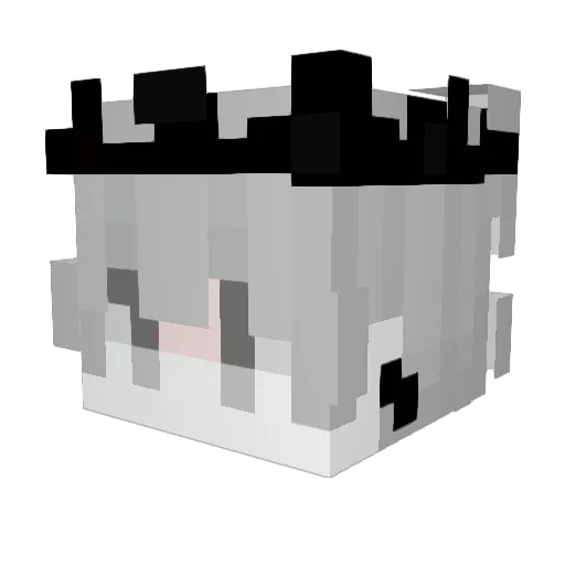 HasenX0 Minecraft avatar head, 3D render