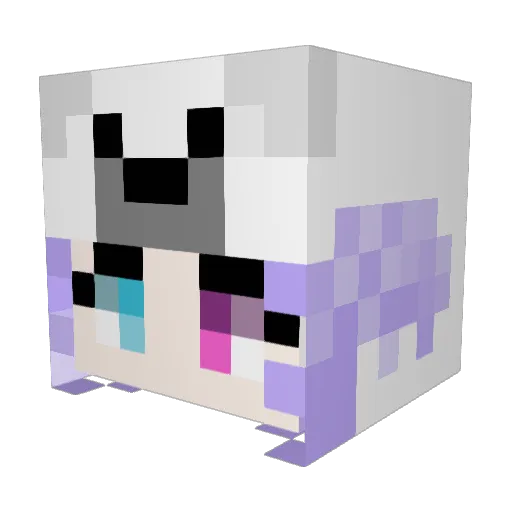HashNRice Minecraft avatar head, 3D render