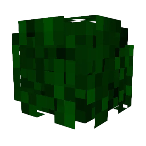 HasheYz Minecraft avatar head, 3D render