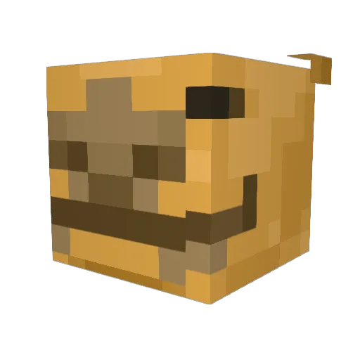 Hashemcameltamer Minecraft avatar head, 3D render