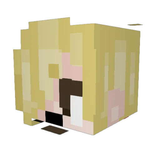 Hashemkh Minecraft avatar head, 3D render