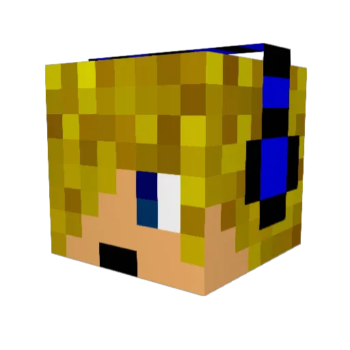 Hashfastr Minecraft avatar head, 3D render
