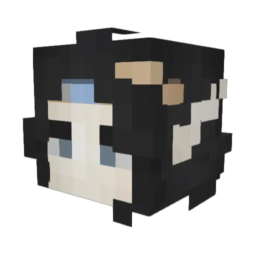 Hashiira Minecraft avatar head, 3D render