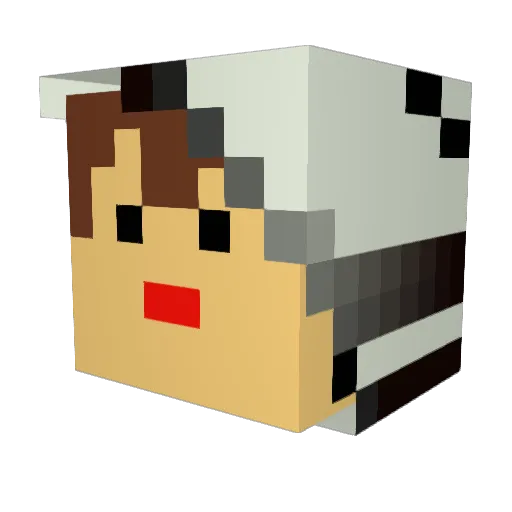 Hashimira_828 Minecraft avatar head, 3D render