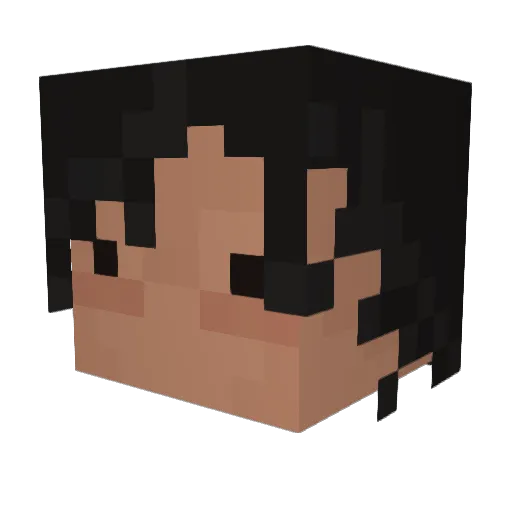 Hashiyan1 Minecraft avatar head, 3D render