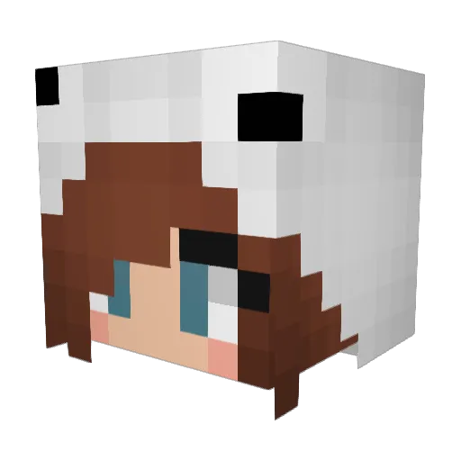 Hashlerka Minecraft avatar head, 3D render
