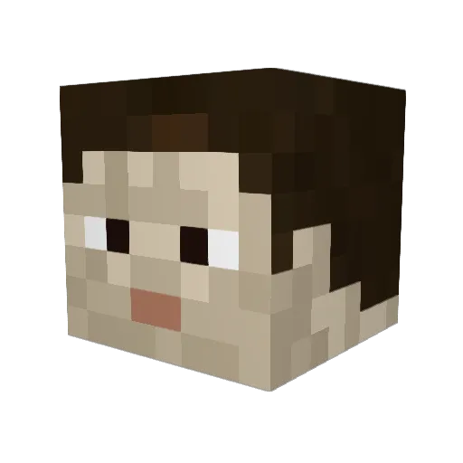 HashtagJirka Minecraft avatar head, 3D render