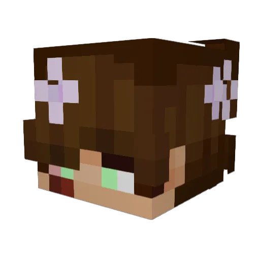 HashtagWinna Minecraft avatar head, 3D render
