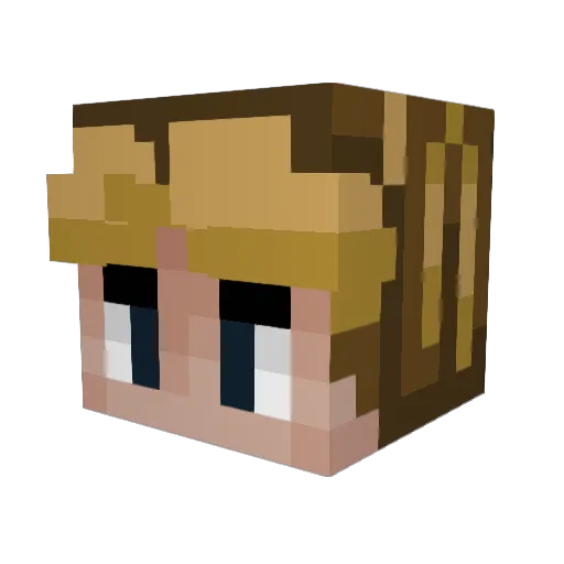 Hasi6 Minecraft avatar head, 3D render