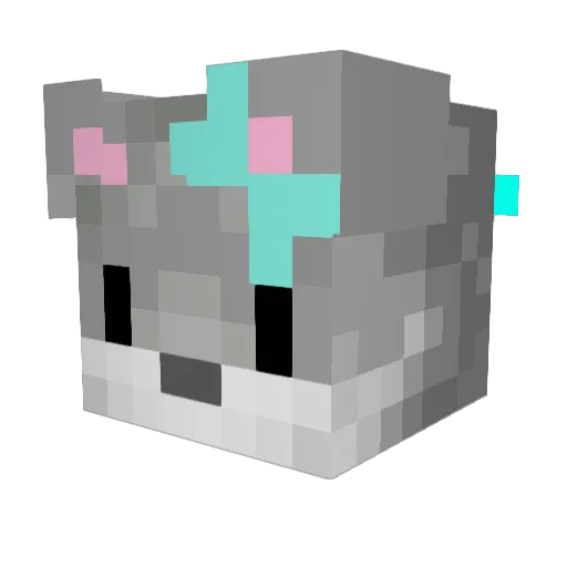 HasiVonDir Minecraft avatar head, 3D render