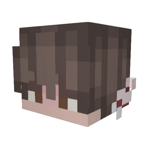 Hasiilunchen Minecraft avatar head, 3D render