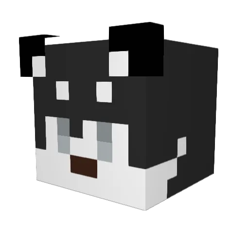 Haski22 Minecraft avatar head, 3D render