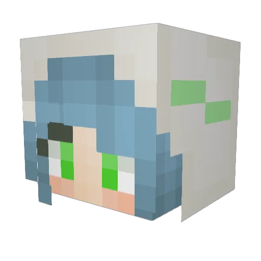 Hasko51 Minecraft avatar head, 3D render