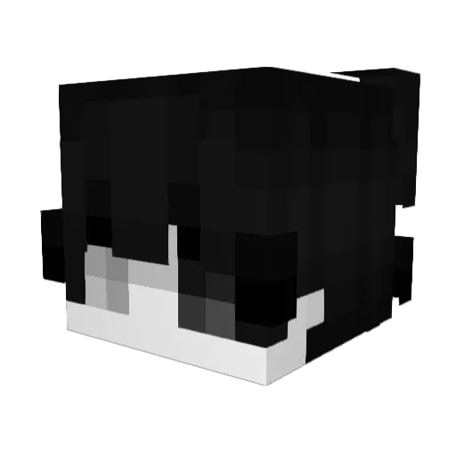 HasnainSpirit Minecraft avatar head, 3D render