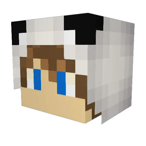 Hasoo Minecraft avatar head, 3D render