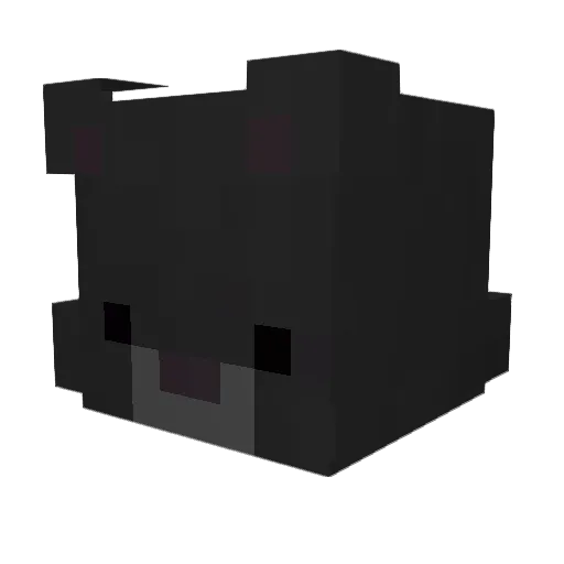 Hassam46 Minecraft avatar head, 3D render