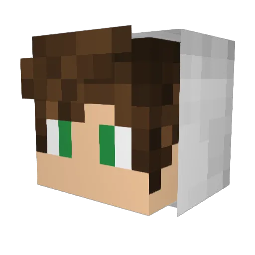 Hassan201 Minecraft avatar head, 3D render