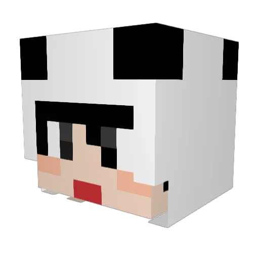Hassy1 Minecraft avatar head, 3D render