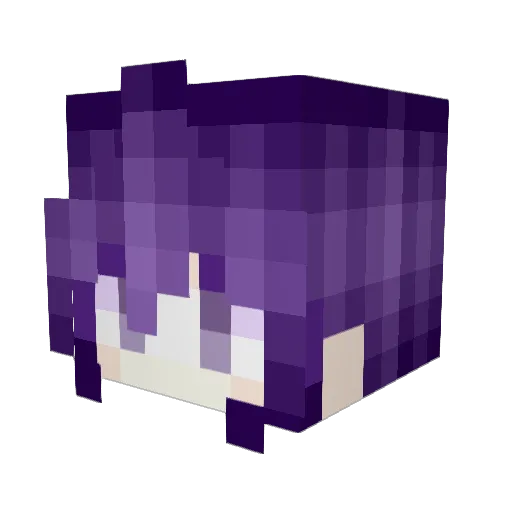 Hastroub Minecraft avatar head, 3D render