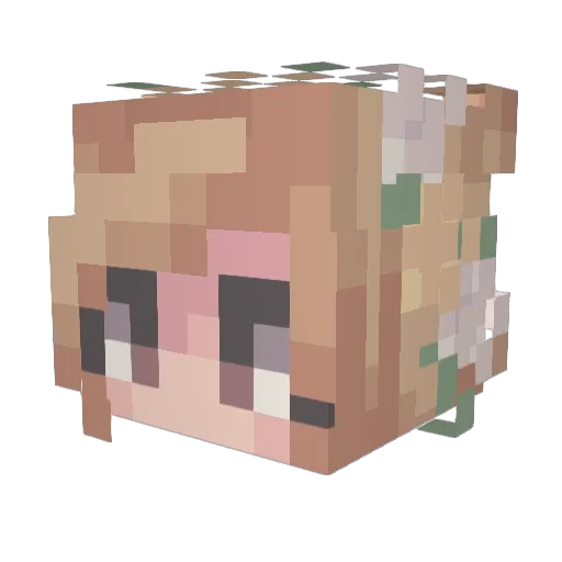 Hastur1025 Minecraft avatar head, 3D render