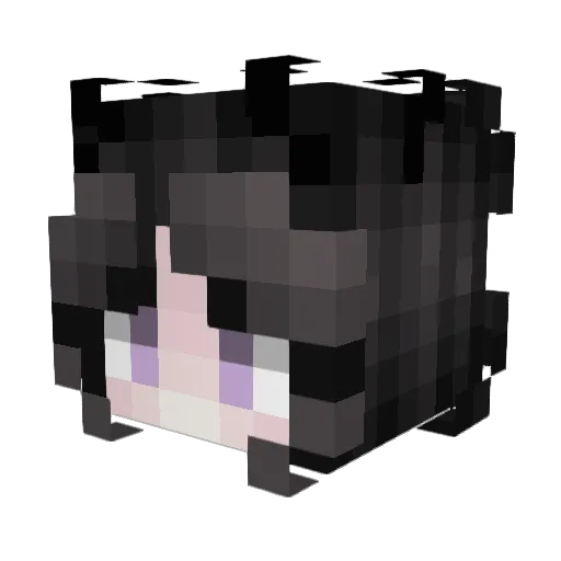 HasukiKoinu Minecraft avatar head, 3D render