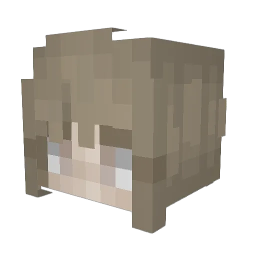 Hasuki_Taki Minecraft avatar head, 3D render