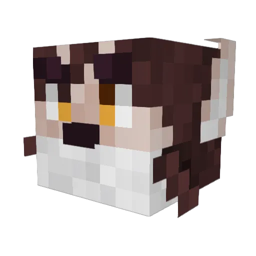 Hasukoichi Minecraft avatar head, 3D render