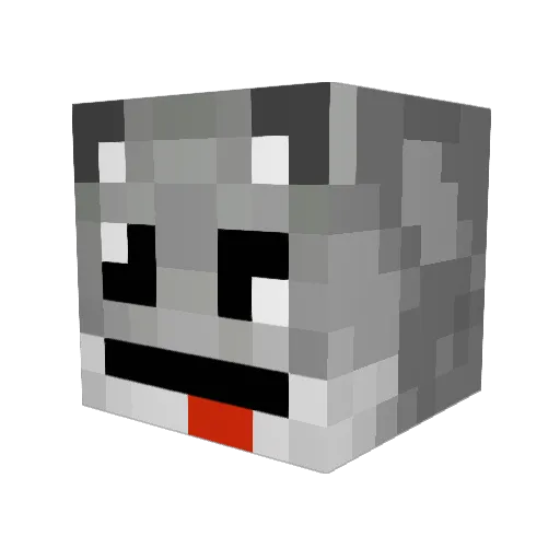 Hasususi Minecraft avatar head, 3D render